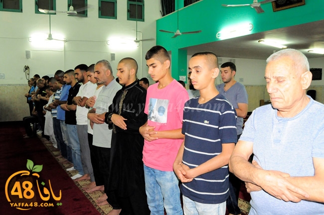 zatona mosque (3).JPG